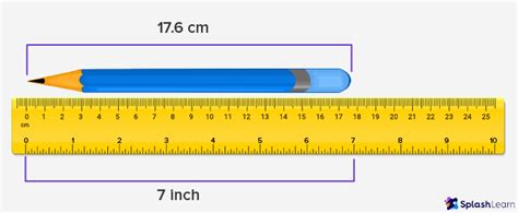 What Is Ruler? Definition, Types, Examples, Facts | atelier-yuwa.ciao.jp