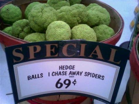 Hedge Balls | Flickr - Photo Sharing!