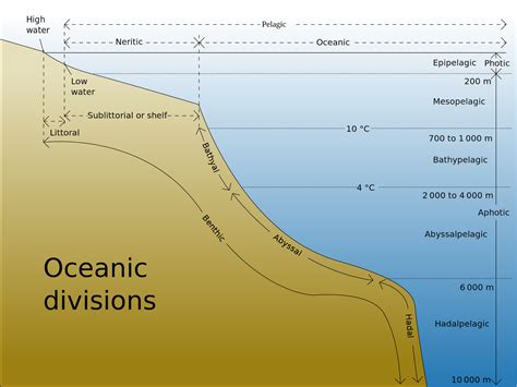 Ocean basins ~ Learning Geology