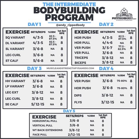 Intermediate Bodybuilding Program Spreadsheet by Ripped Body (5 Day ...