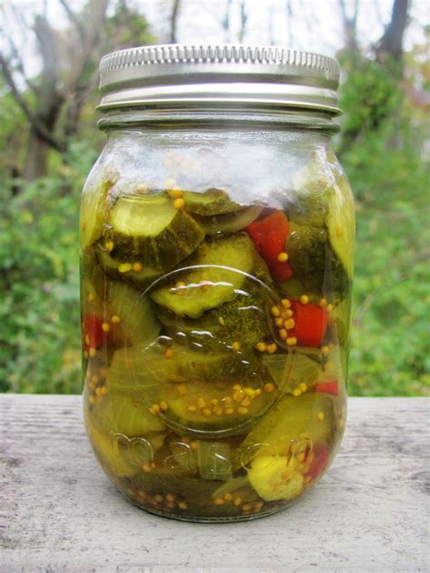 IMG_3090.JPG (1200×1600) | Canning recipes, Spicy pickles, Pickles