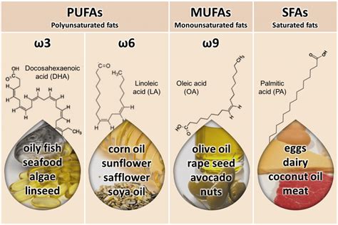 Know your fats (infographic) – Rosemary Cottage Clinic Blog