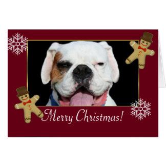 Boxer Christmas Cards | Zazzle