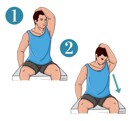 Levator-scapulae-stretch-BI-2 - Biokineticist Andries Lodder | Bio4Me