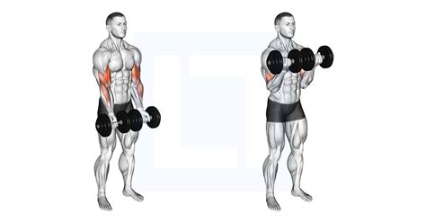 Dumbbell Lying Triceps Extension - Guide, Benefits, and Form