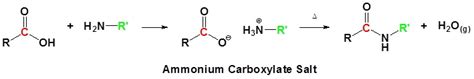 21.9: 21.12 Chemistry of Amides - Chemistry LibreTexts