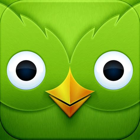 Duolingo | iOS Icon Gallery