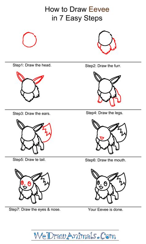 How to Draw Eevee Pokemon