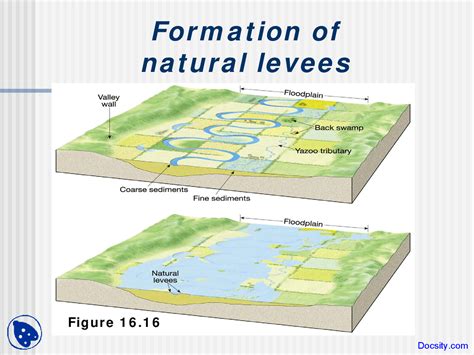 Natural Levee Diagram