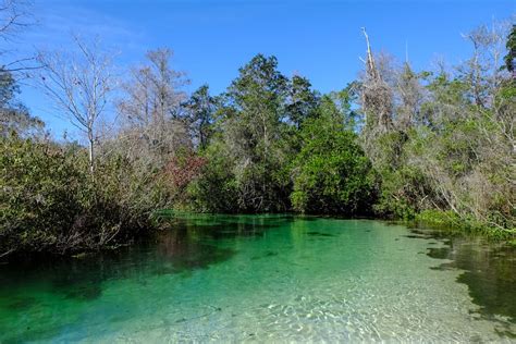 15 Best Things To Do in Spring Hill, FL You Shouldn't Miss - Florida ...