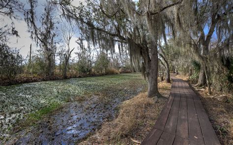 Jean Lafitte National Historical Park + Preserve | Outdoor Project