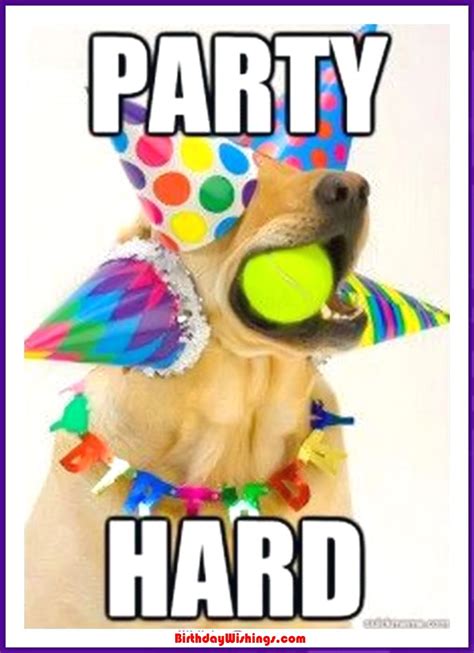 Funny Happy Birthday Memes With cats, Dogs & Funny Animals