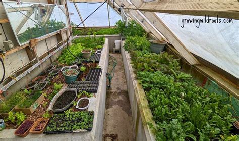 Passive-Solar Greenhouse: An Underground Design