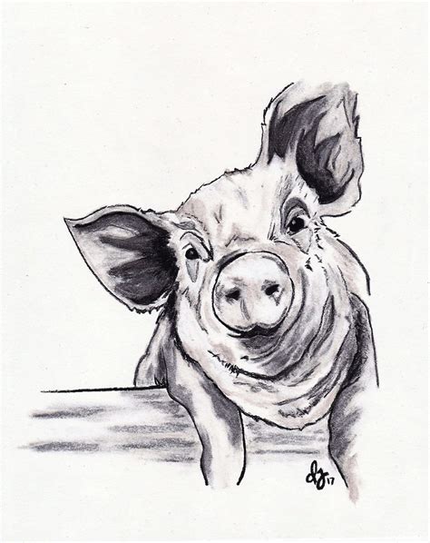 Charcoal Drawing Download, Pig Printable Art, Pig Digital Wall Art ...