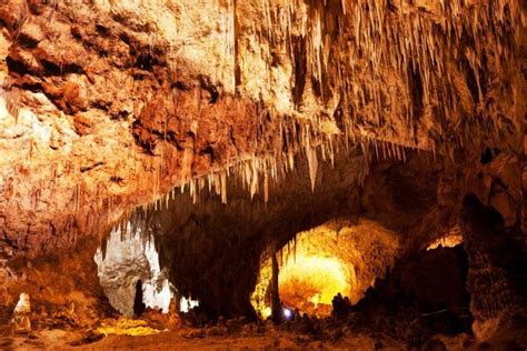 About Carlsbad Caverns National Park in New Mexico - Map, facts ...