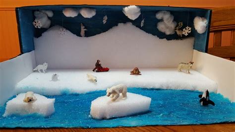 Arctic seal diorama, second grade project | Habitats projects ...