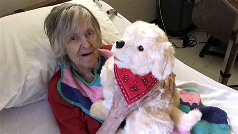 Robotic Dog Provides Comfort to Hospice Patients - Northern Illinois ...