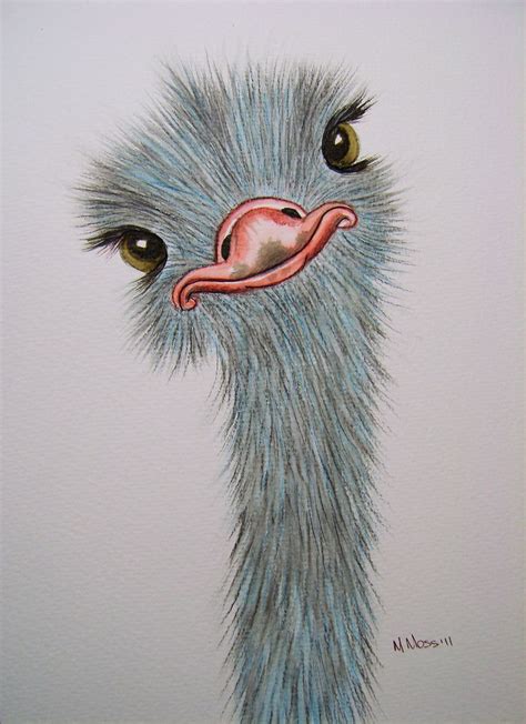 Silly Ostrich watercolour | Drawings, Animal art, Art drawings