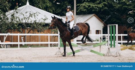 Overcoming Obstacles. Beautiful Graceful Horse Jumping Over the Barrier ...