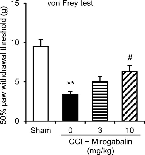 Analgesic effects of mirogabalin in CCI model rats. Mirogabalin ...