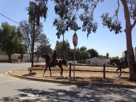 The Inland Empire, Norco, Horse Town USA, Norco Animal Rescue Team.What ...