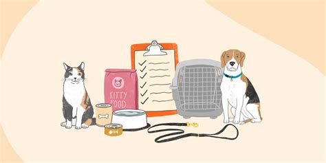 Disaster Preparedness for Pets | Zoetis Petcare