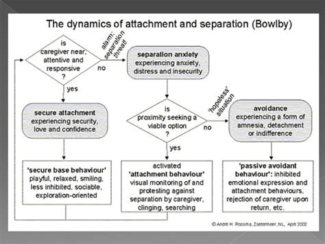 Bowlby’s Attachment Theory