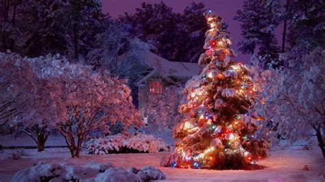 Christmas Tree Wallpapers HD (71+ images)