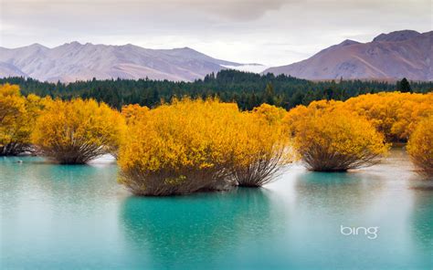 Bing Images Desktop Wallpaper ·① WallpaperTag