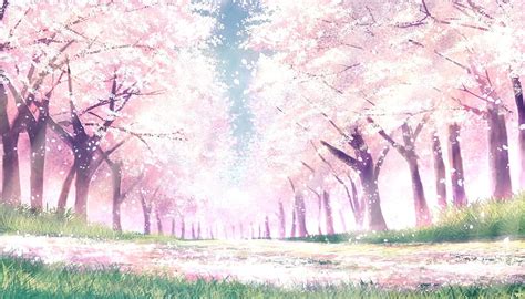 Anime landscape, spring, cherry blossom, sakura bloom, trees, path ...