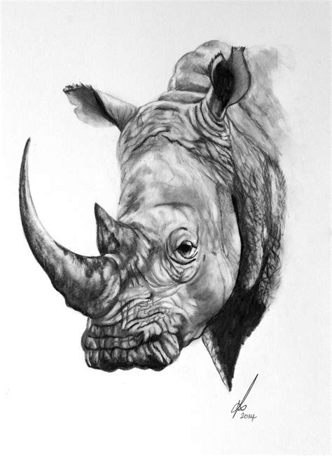 Rhino Pencil Drawing at PaintingValley.com | Explore collection of ...