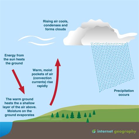 Convectional Rainfall Labelled Diagram | The Best Porn Website