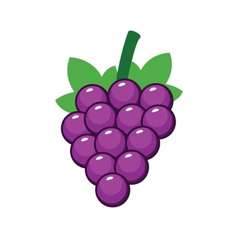 Fruit grapes vector cartoon flat design 5210265 Vector Art at Vecteezy