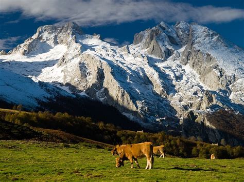 Pendébano.Cabrales | Picos de europa, Europa, Viajes