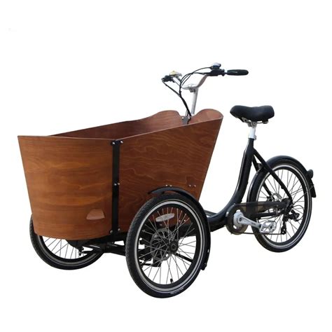 Free Shipping New Style 3 Wheel Electric cargo Family Bike For Adult ...