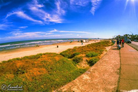 On the Galveston Beach in Texas - Burnsland - Photography and Art ...