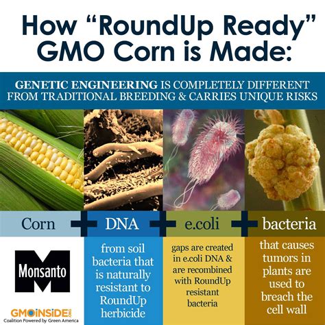 FAQs | GMO Free PA | GMO - Genetically Modified Foods And Organisms GE ...