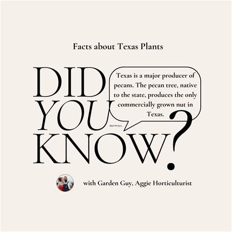 Texas Pecan Facts - Garden Guy, Inc