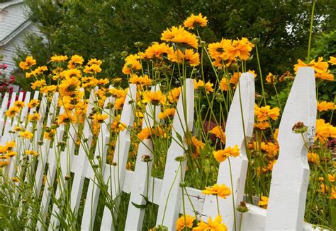 Beautiful White Fence Landscaping Ideas - Garden Lovers Club | White ...