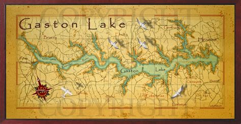 Old field Studio & Leo Lakes: Gaston Lake