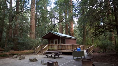 Redwood National Park hosts beautiful cabins to rent at a great price