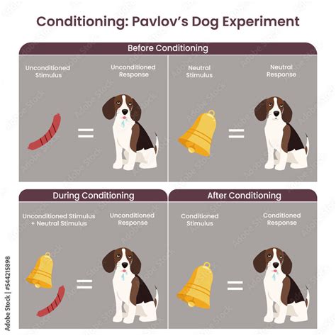 Did Pavlov Hurt The Dogs