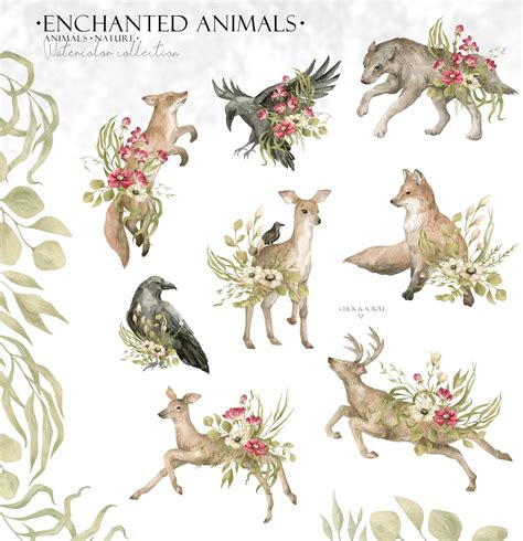 Enchanted Forest Watercolor Wildlife by KrekerKate on @creativemarket ...