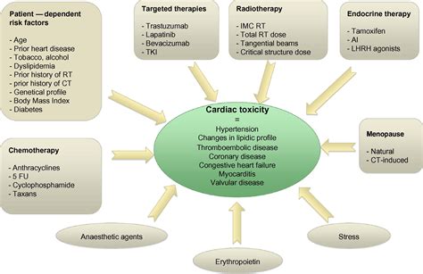 Cardiac toxicity in breast cancer patients: From a fractional point of ...