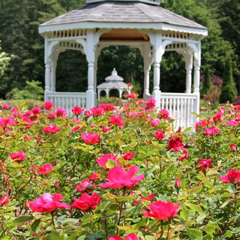 Gardens & Greenhouses - Stanley Park Westfield MA