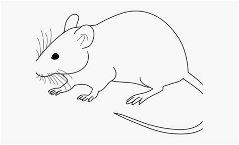 Clipart mouse line art, Clipart mouse line art Transparent FREE for ...