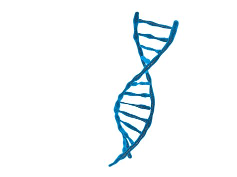 DNA structure isolated background 3d illustration 18871969 PNG