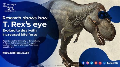 T. Rex’s eye evolved to deal with bite force | Dinosaur News