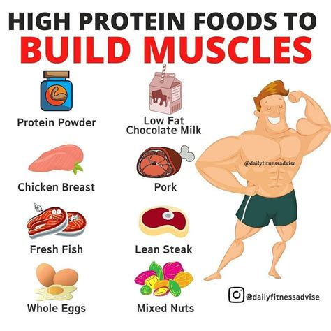 High Protein foods to build muscle | Muscle building foods, Food to ...