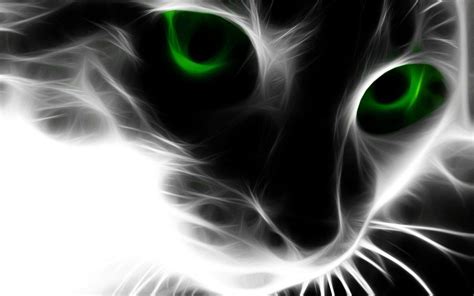 Green Cat Wallpapers - Top Free Green Cat Backgrounds - WallpaperAccess